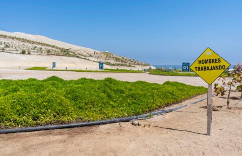 TERRENO EN VENTA QUILCA CAMANA