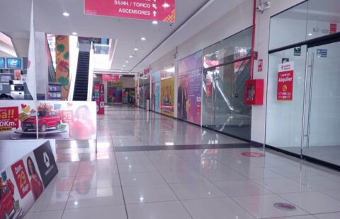 EXCELENTES LOCALES COMERCIALES EN C.C. PASEO CENTRAL