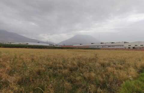 TERRENO AGRÍCOLA EN VENTA EN IRRIGACIÓN ZAMÁCOLA – CERRO COLORADO