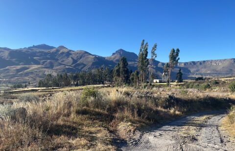 TERRENO DE 10 HECTÁREAS EN CHIVAY: LA OPORTUNIDAD PERFECTA PARA TU PROYECTO SOÑADO