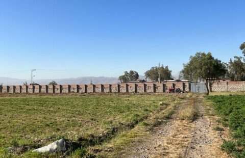 TERRENOS AGRÍCOLAS CON ZONIFICACIÓN COMERCIAL EN ZAMÁCOLA EN VENTA