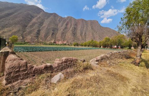 TERRENO EN VENTA EN EL VALLE DE VILCANOTA, URUBAMBA: AMPLITUD Y NATURALEZA EN UNA UBICACIÓN PRIVILEGIADA