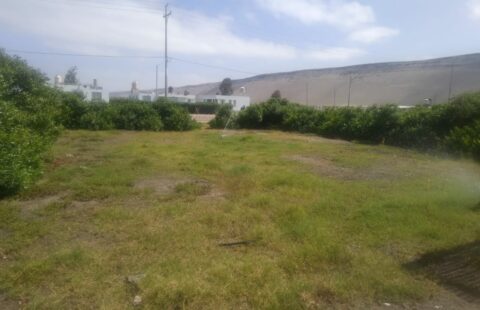 ¡TERRENO EXCLUSIVO EN GAVIOTAS, PUNTA DE BOMBÓN, AREQUIPA!
